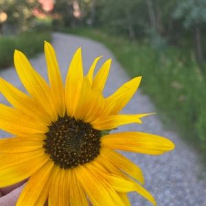 Meet your Posher, Mitzi